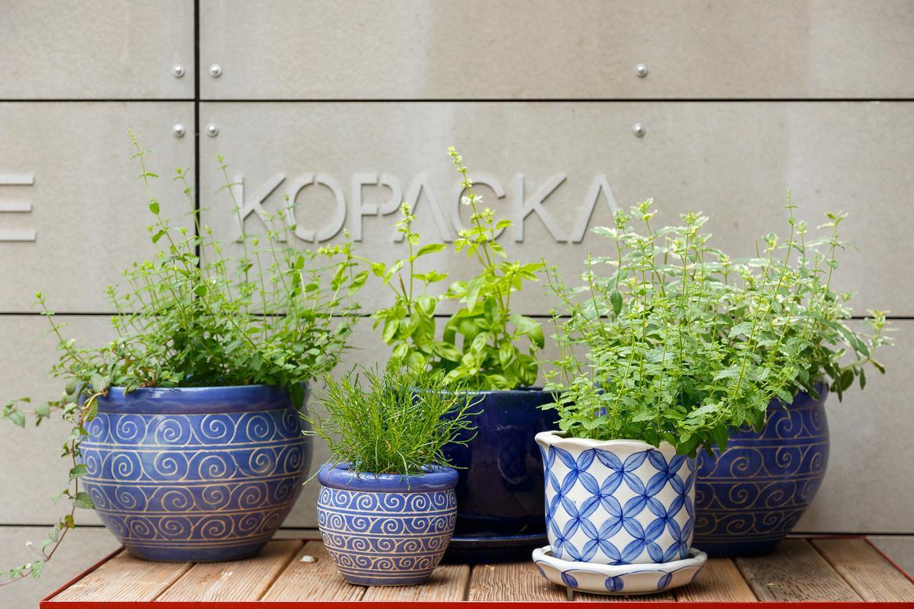Lanškroun Hotel & Depandance Kopacka מראה חיצוני תמונה